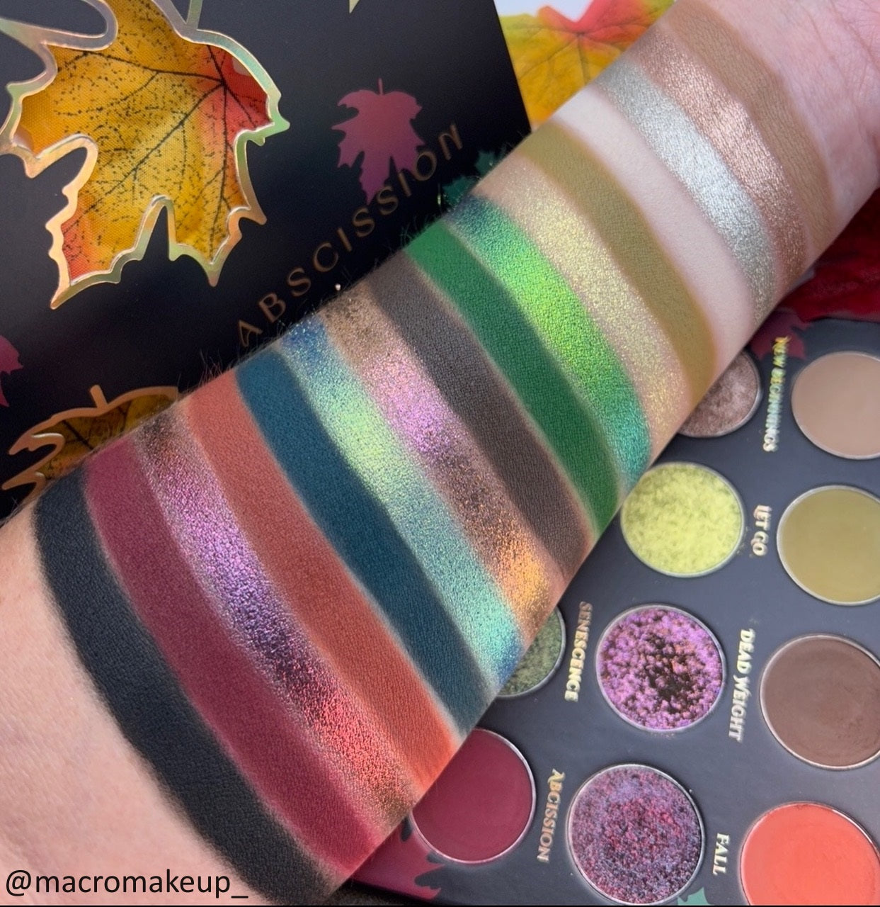 Abscission Eyeshadow Palette