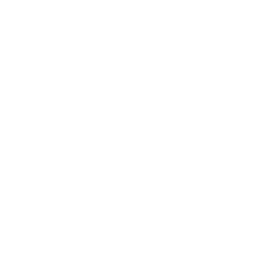 feature-item-1