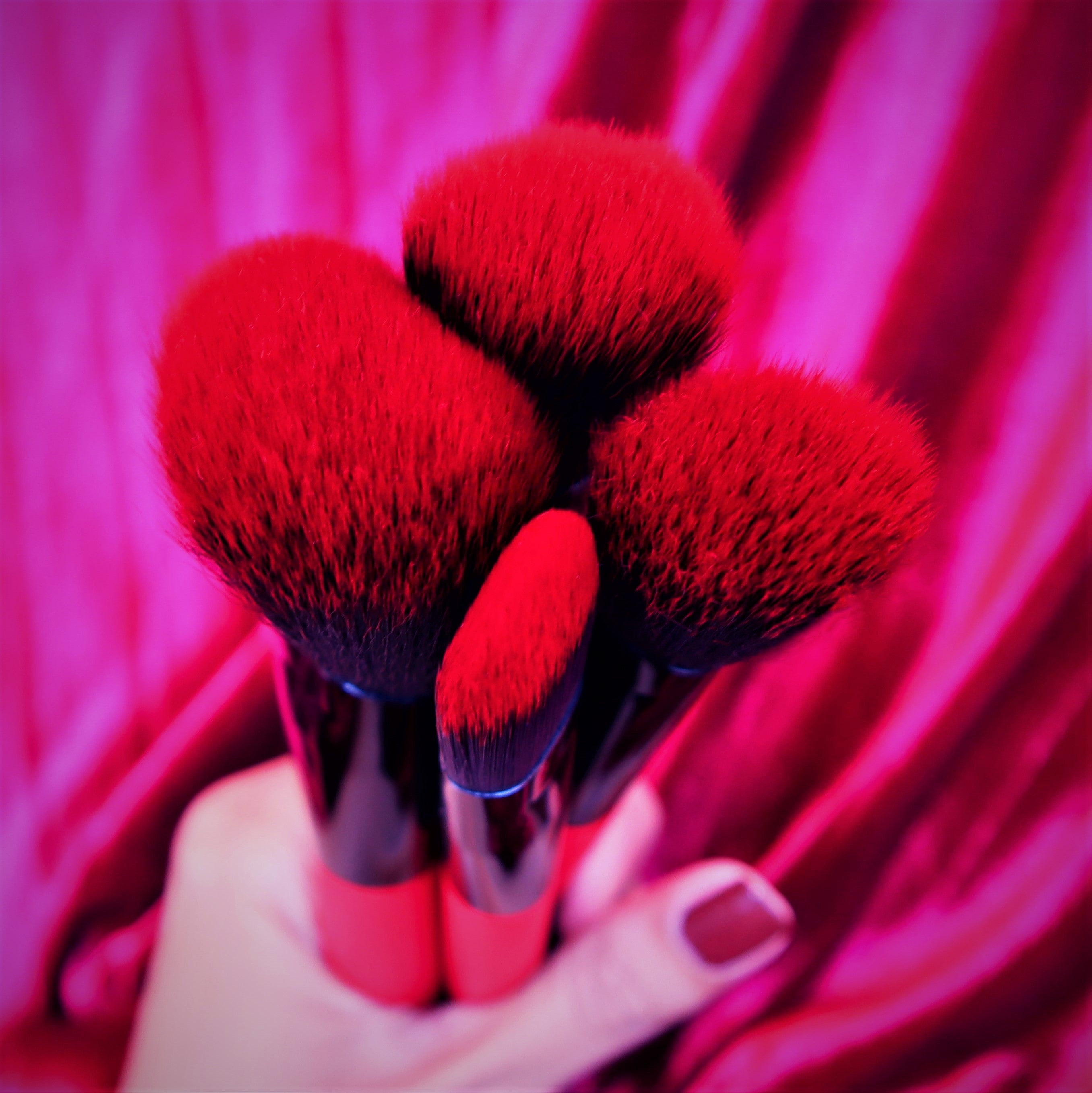 Red and Black Make-Up Brush Set - 4 Piece Face Finishing Brushes