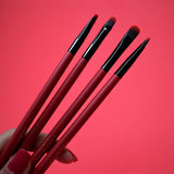 Red and Black Make-Up Brush Set - 4 Piece Precision Brushes